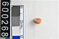 藏品(琉璃珠)的圖片