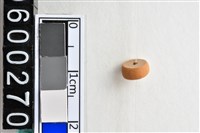 藏品(琉璃珠)的圖片