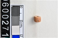 藏品(琉璃珠)的圖片