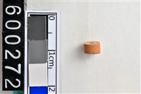 藏品(琉璃珠)的圖片