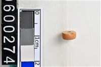 藏品(琉璃珠)的圖片