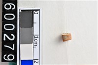 藏品(琉璃珠)的圖片