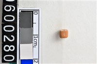 藏品(琉璃珠)的圖片