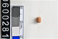 藏品(琉璃珠)的圖片