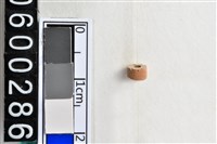 藏品(琉璃珠)的圖片