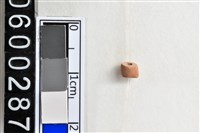 藏品(琉璃珠)的圖片