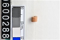 藏品(琉璃珠)的圖片