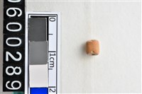 藏品(琉璃珠)的圖片