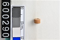 藏品(琉璃珠)的圖片