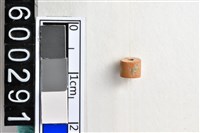 藏品(琉璃珠)的圖片