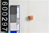 藏品(琉璃珠)的圖片