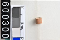 藏品(琉璃珠)的圖片