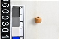 藏品(琉璃珠)的圖片