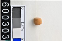 藏品(琉璃珠)的圖片