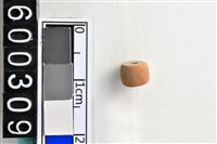 藏品(琉璃珠)的圖片