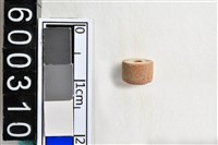 藏品(琉璃珠)的圖片