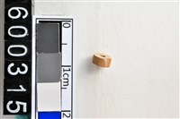 藏品(琉璃珠)的圖片