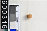 藏品(琉璃珠)的圖片