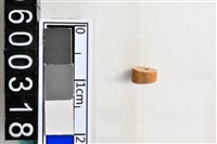 藏品(琉璃珠)的圖片