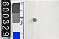 藏品(琉璃珠)的圖片