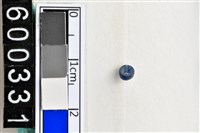 藏品(琉璃珠)的圖片