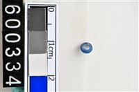 藏品(琉璃珠)的圖片