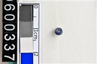 藏品(琉璃珠)的圖片