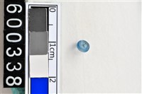 藏品(琉璃珠)的圖片