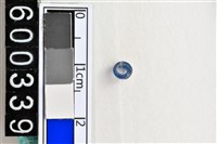 藏品(琉璃珠)的圖片