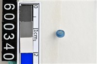 藏品(琉璃珠)的圖片