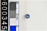 藏品(琉璃珠)的圖片