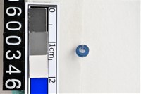 藏品(琉璃珠)的圖片