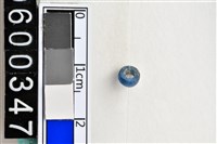 藏品(琉璃珠)的圖片