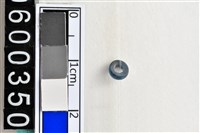 藏品(琉璃珠)的圖片