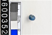 藏品(琉璃珠)的圖片