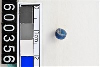 藏品(琉璃珠)的圖片