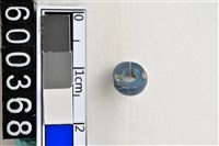 藏品(琉璃珠)的圖片