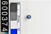 藏品(琉璃珠)的圖片