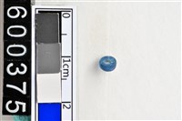 藏品(琉璃珠)的圖片