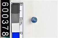 藏品(琉璃珠)的圖片