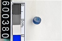 藏品(琉璃珠)的圖片