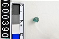 藏品(琉璃珠)的圖片