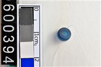 藏品(琉璃珠)的圖片