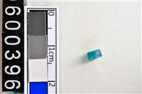 藏品(琉璃珠)的圖片