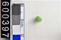 藏品(琉璃珠)的圖片