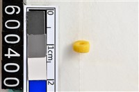 藏品(琉璃珠)的圖片