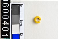 藏品(琉璃珠)的圖片