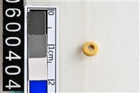 藏品(琉璃珠)的圖片