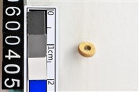 藏品(琉璃珠)的圖片