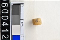 藏品(琉璃珠)的圖片